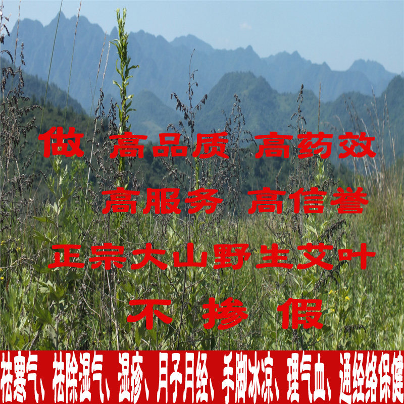 Wild three years Chen Ai Ye Eyegrass Ayegrass Ayelet foot soak in the whole Eyleaf Ai Ye Moor Ai Velvet Chill Out Of The Wild