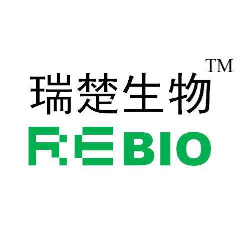 SDS-PAGE电泳凝胶配置试剂至少配置50块蛋白胶  R07010