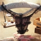 Sexy thong đồ lót của phụ nữ Nhỏ tươi lá sen mềm lưới trong suốt cám dỗ phụ nữ Áo phông quần T quan lot nu dang dui Giống cái
