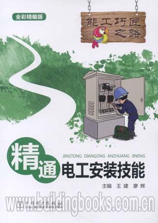 能工巧匠之路:精通电工安装技能   正版