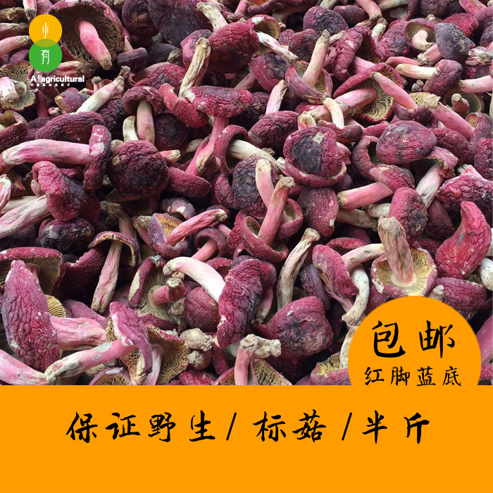 Red mushrooms red fungus Yunnan Pu'er wild large red mushrooms red pedicle with red footed oyster mushroom 250g Non-Fujian Wuyi Mountain