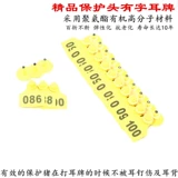 Бутик защитные головы свиноводы