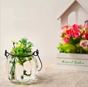 Bình thủy tinh, chai thực vật, bình thủy canh, bình hoa, bình hòa tan hoa, chai bí ngô, gói vỡ, bồi thường - Vase / Bồn hoa & Kệ