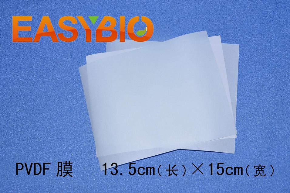 Millipore原装  PVDF膜 0.2u 柏奥易杰 分装  实验耗材 BE6012
