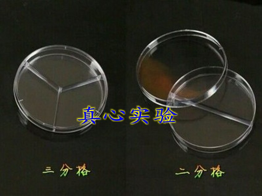 90*20一次性细胞培养皿 90mm3分格细菌培养皿