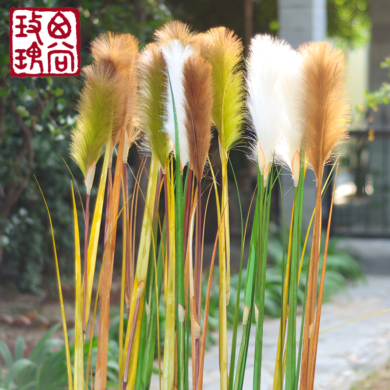 ����õ��«έ��β�Ͳ�