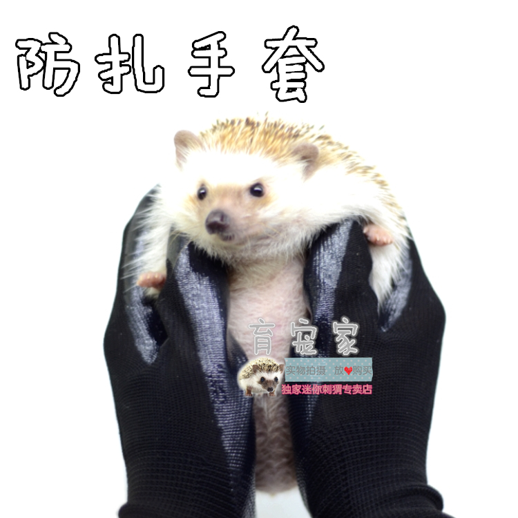 African Mini Hedgehog Hamster Anti-gnaw Gloves Pet Hedgehog Anti-jaw Gloves Buy 2 Get 1 Free