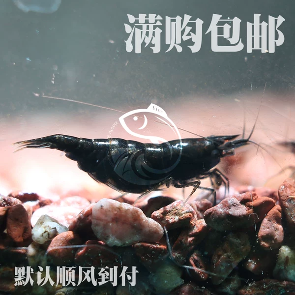 Товары от 小宇诗诗水族