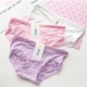 6 đồ lót nữ màu rắn viền ren đơn giản quan lot nu Giống cái
