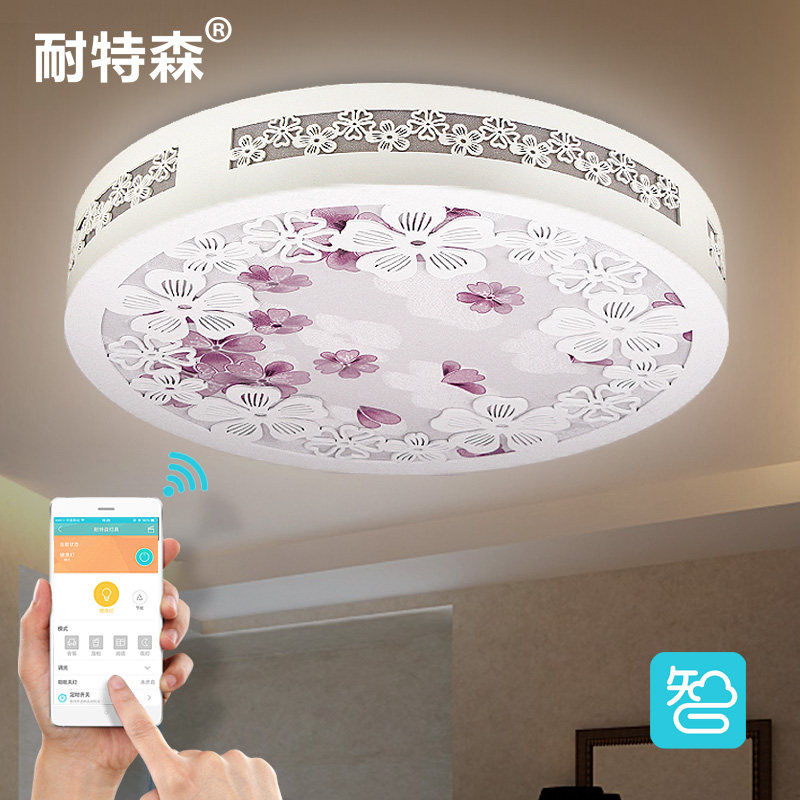 ����ɭled�����Ƶ�NTS-TX805