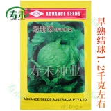 Шарики из салата для семян, семена салата, зимние зимние четырех сезона в горшке, салат семена семян семян семян семян семян семян.