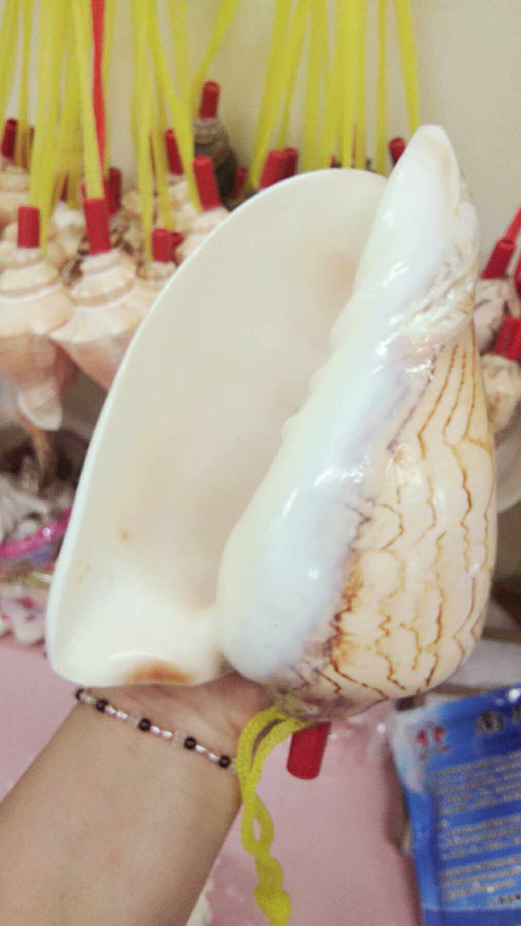 Natural Marine Snail Shells Large Landscape Snail Horn Can Blow The Sea Snail Shell Sea Snail Craft Gift Pendulum Decoration Wholesale