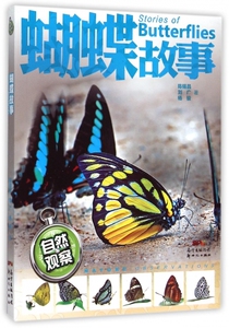 正版蝴蝶故事暑假读一本好书自然观察蝴蝶故事小学生课外阅读物书籍大自然探秘观察彩图版昆虫科普百科全书