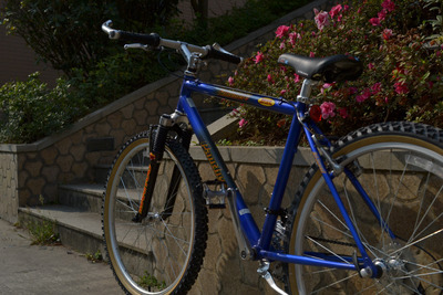 Panther Bicycle Wcf Bicycle Carbon Fiber Bicycle Panther Bicycle Wcf Bicycle Carbon Fiber Bicycle