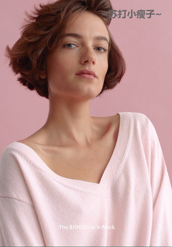 Special Offer in Stock: Everlane Women's Spring and Autumn Boxy V-Neck Short Cashmere Sweater/Sweater