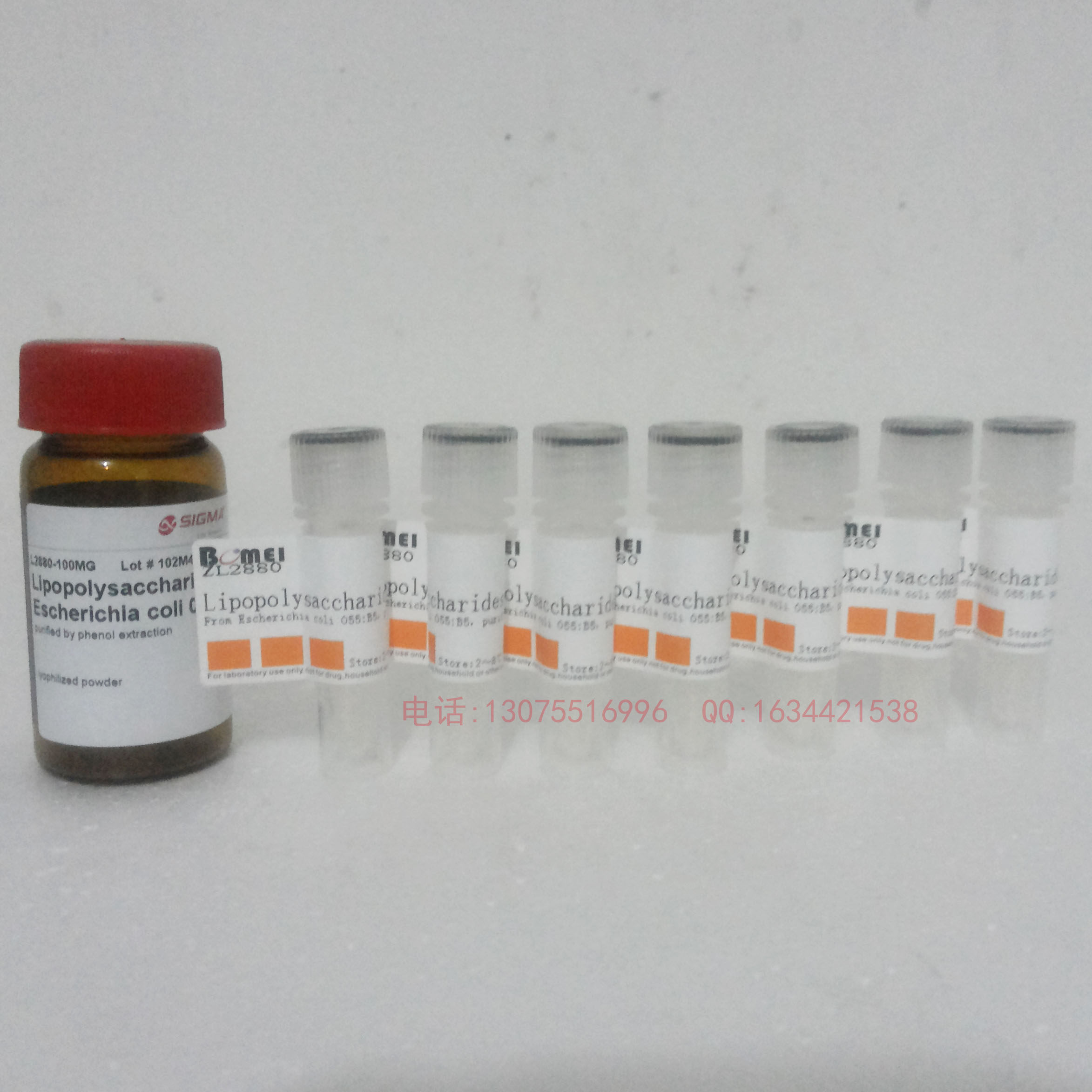 脂多糖/LPS/内毒素   科研实验试剂 含票10mg