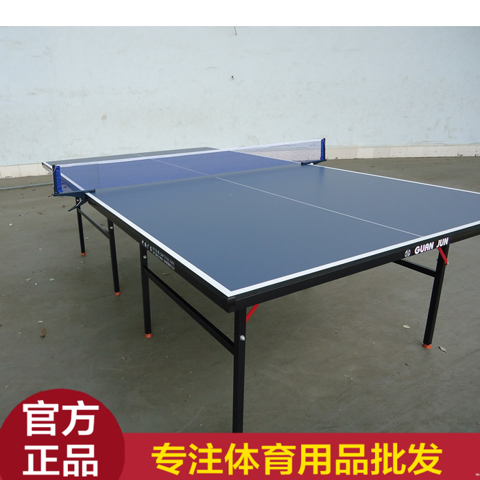 Champions Table Tennis Table School Household folding mobile table tennis table durable sending racket