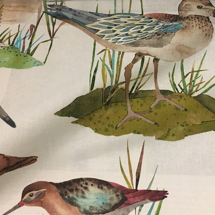 ʥ����ȫ�ݴ���C-61164