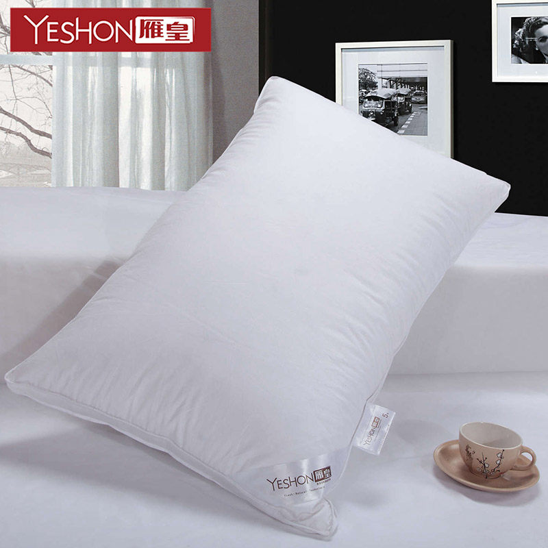 ������Ǽ��Ƶ�������ZXYR002