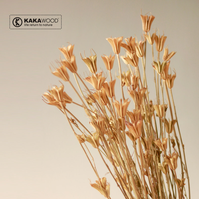 kakawood�ؾӼҾ���װ��Ʒ��Ҷ