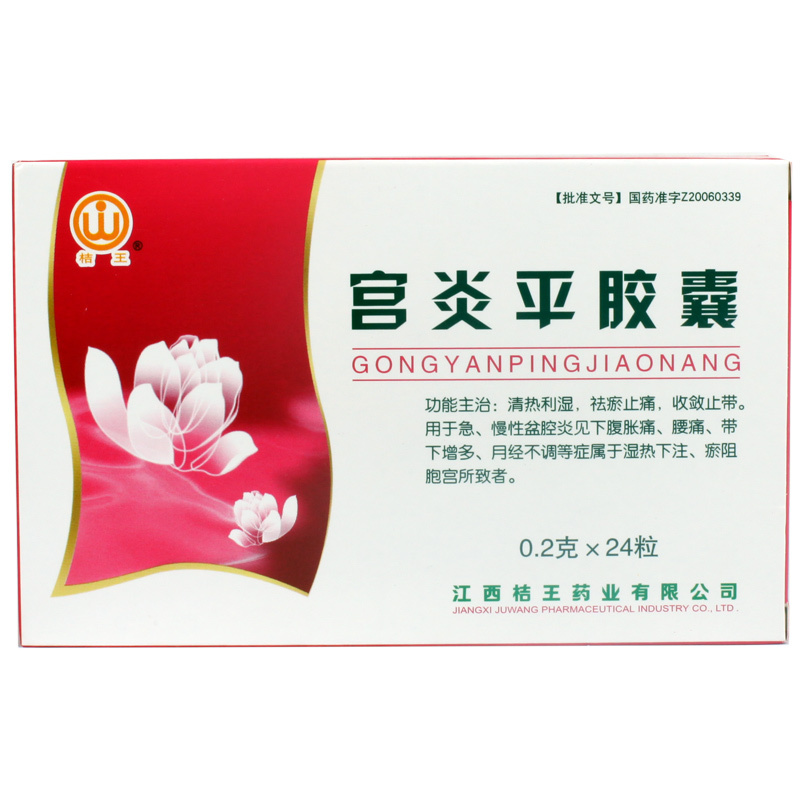 桔王 宫炎平胶囊 0.2g*24粒/盒