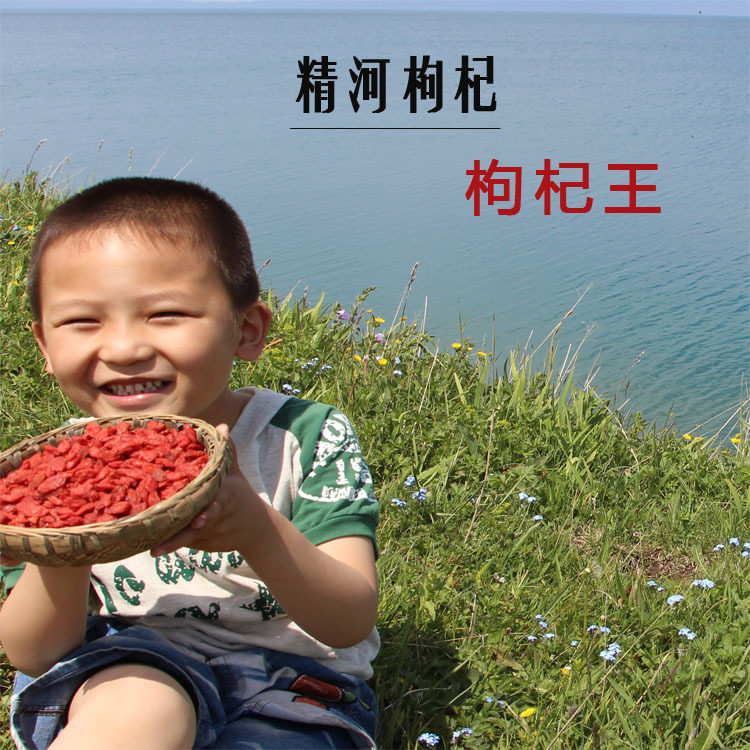 Xinjiang wolfberry king fine Jinghe wolfberry Xinjiang Gou Qi Zi premium Gou Ji Zi farm original structure wolfberry 500g
