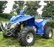Khủng long lớn h Khủng long ATV Blue-8 Inch Cross Country Tyre Quad Bike Atv Crown Chất lượng