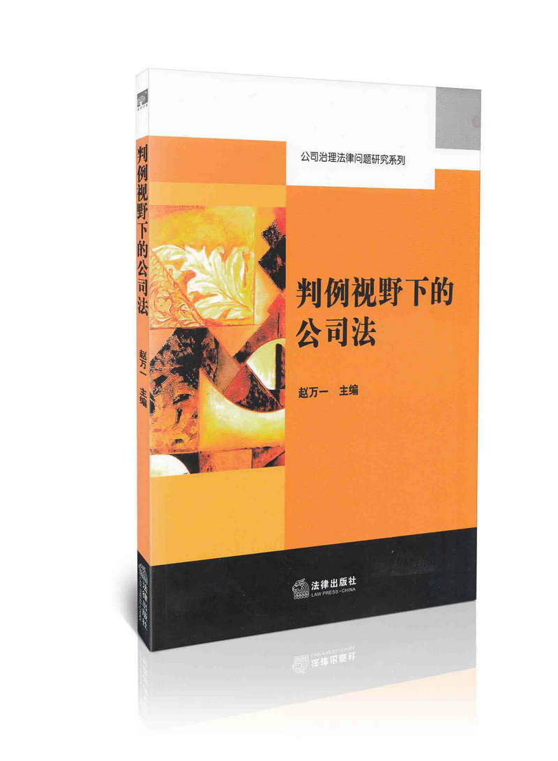 判例视野下的公司法/公司治理法律问题研究系列