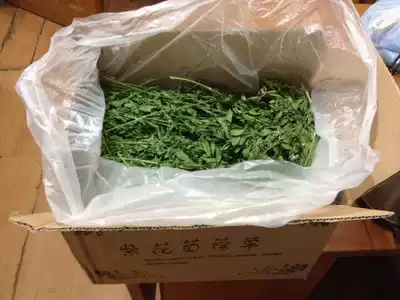  21-year-old new grass alfalfa special product very fine rod alfalfa gross weight 1kg two boxes minus 2 yuan