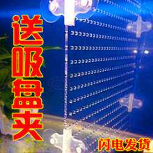 Fish Tank Clip Isolation Clip Aquarium Glass Partition partition Rohan fish acrylic suction cup holder fish tank separator