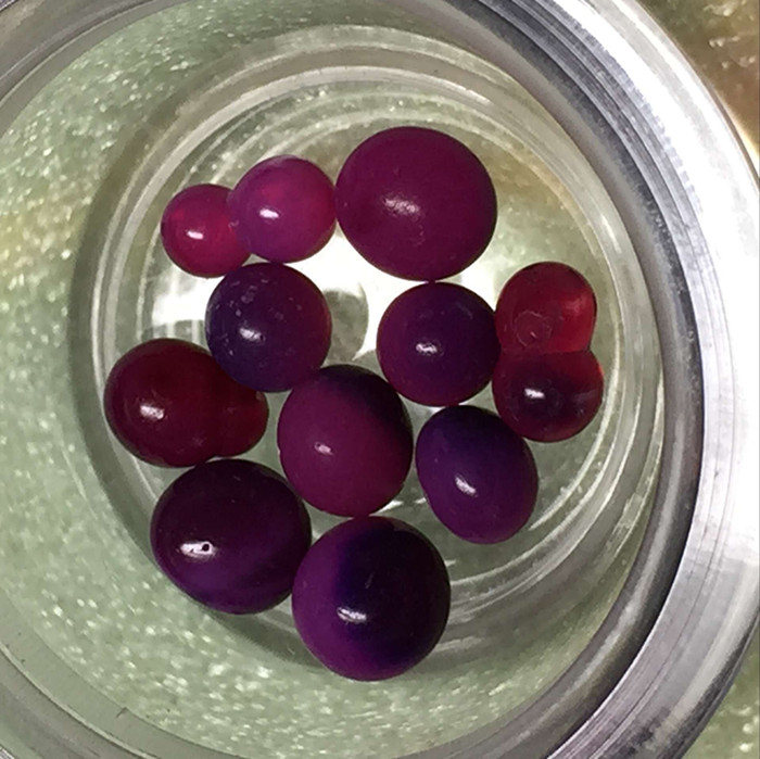 Purple discoloration and proliferation of large Sakyamuni Buddha sturdy son collection of the Pagoda