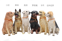  Puppy dog model Home decoration Crafts Living room window Animal resin decoration Creative Birthday gift