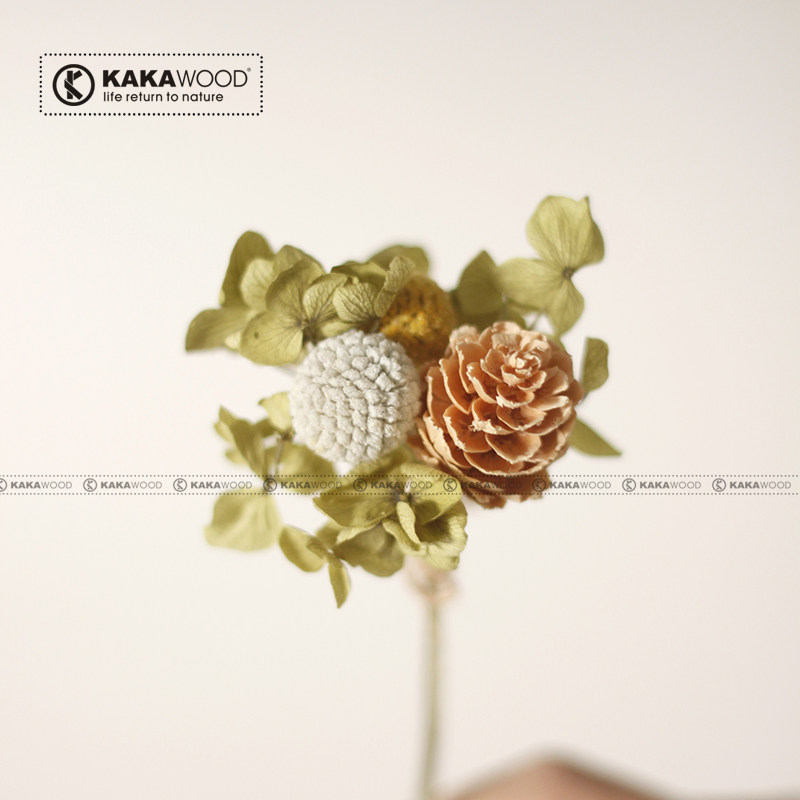 �ؾӼҾ�ֲ��ɹ��ɻ�