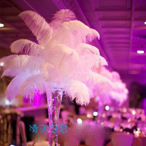 White ostrich feather 15-80cm wedding feather road lead table flower decoration decoration performance props diy big feather