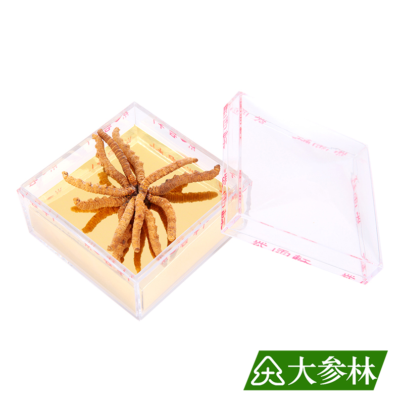 大参林紫云轩冬虫夏草( 王级)虫草5g人造水晶礼盒