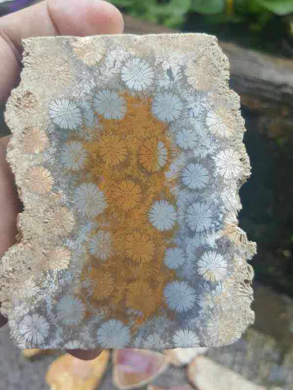 Jade Workshop Boutique Pure Natural Coral Jade Natural Crystal Semi Precious Stone Jade Medullary small colored patterned original stone sheet stock