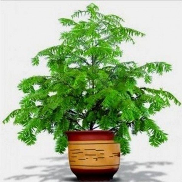 �̴��Ϸ�����nfhds11