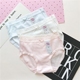 6 cotton mid-eo đồ lót kích thước lớn trung bình quần short nữ tam giác quần sịp Giống cái