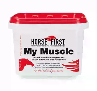 Pegasso Horse Care Horse Muscle Restoration Muscle Soothing Horsein Horse First Muscle Soothing