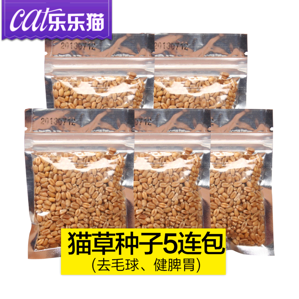 猫草种子小包5连包 去毛球猫薄荷调理肠胃 猫咪零食宠物食品