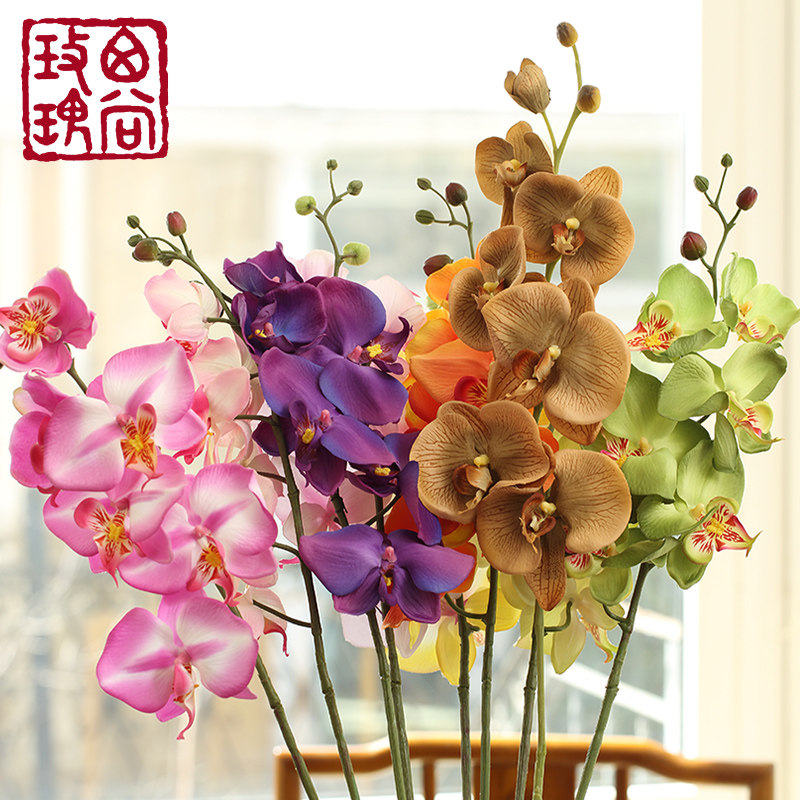 ����õ�����������ٻ���fzh15