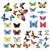 Car stickers creative personality butterfly feather body scratch occlusion car stickers 3D three-dimensional decorative stickers Waterproof stickers