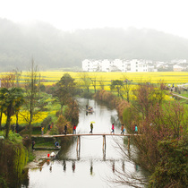 DandeLion postcard original Jiangxi Source of Jiangxi