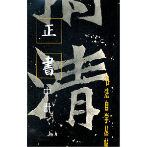 书法自学丛帖 正书（中册）