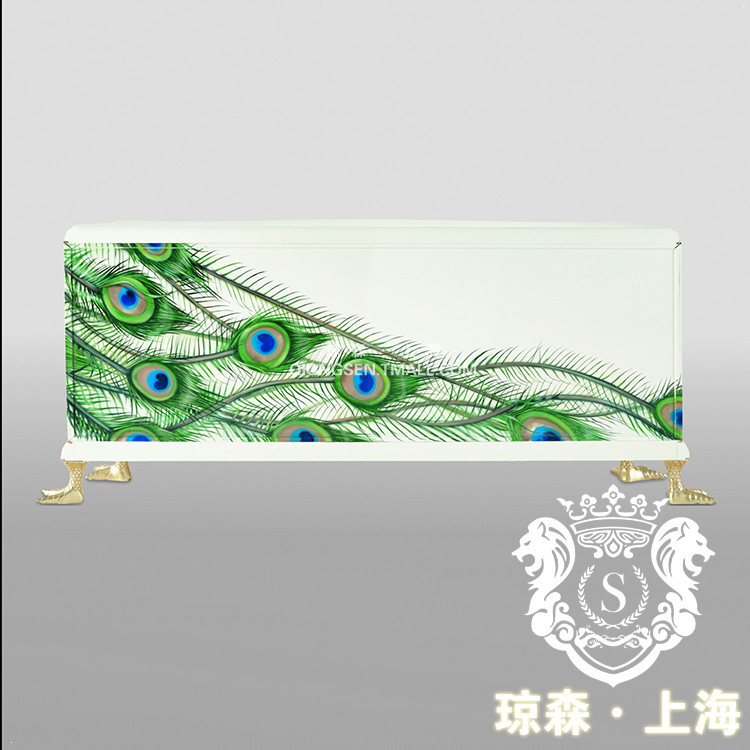 ��ɭŷʽרҵ��ɫ����ͱ߹�4x1001 (35)