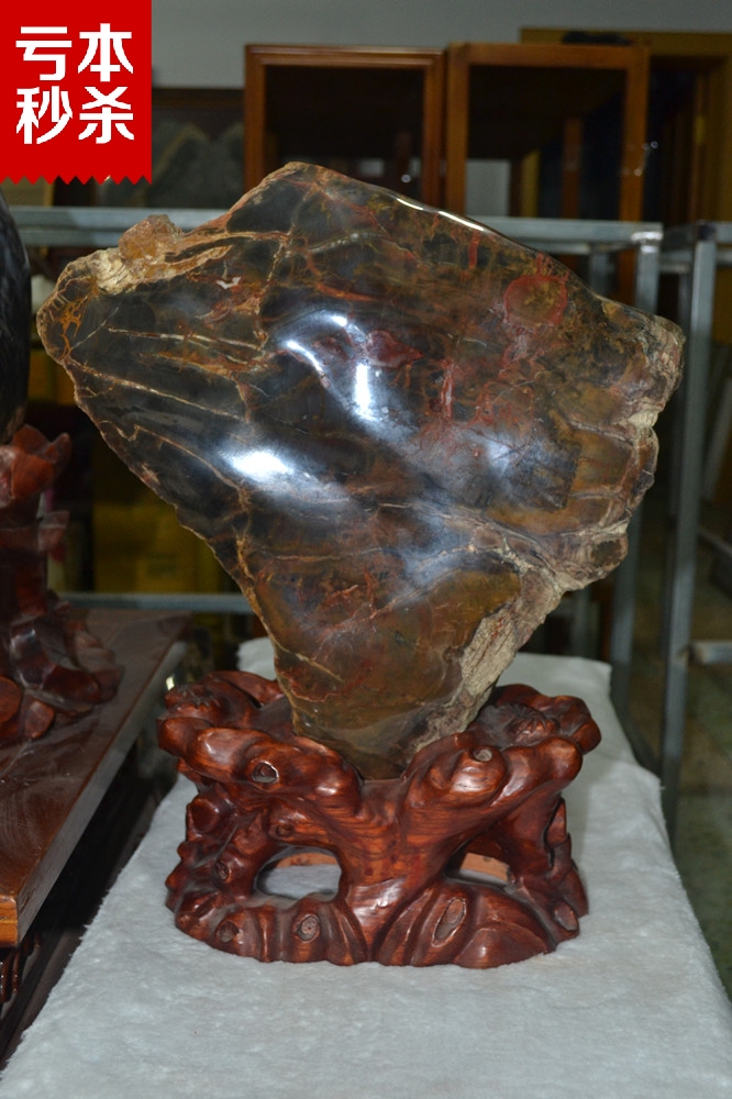 Boutique Liaoxi Chaoyang Beipiao tree fossil silicified wood wood fossil wood jade accompanying ornaments sightseeing stone collection
