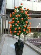 Cây mô phỏng vườn hoa cây ăn quả kumquat quả kumquat cây phòng khách trang trí hoa giả trang trí hoa lụa - Hoa nhân tạo / Cây / Trái cây