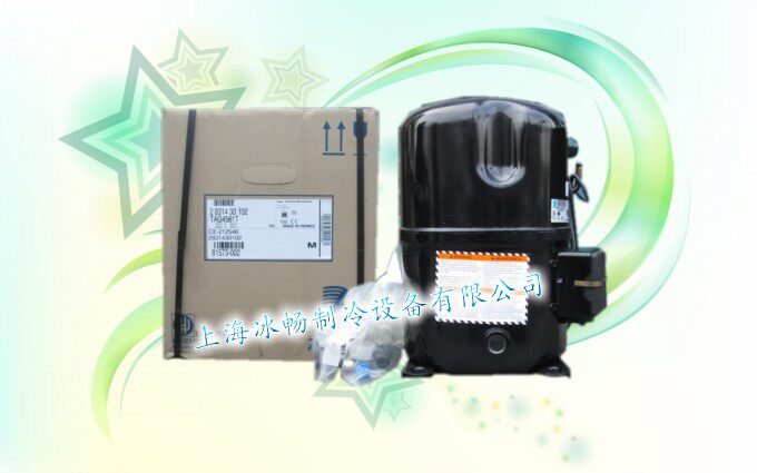 Original fit 5 French Taicom compressor TAG4561T welding screw mouth