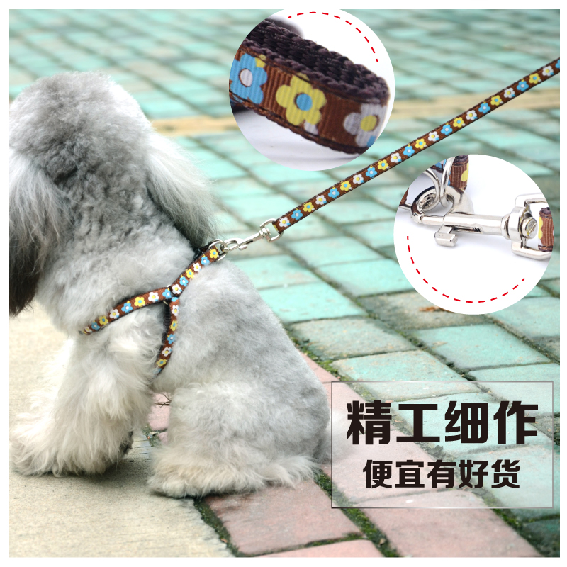 狗绳狗狗背带 小型犬幼犬狗链牵引绳子泰迪比熊金毛 七彩色牵引带