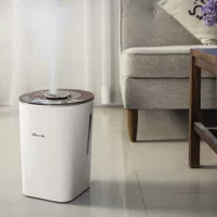 Bear / Cubs JSQ-C40N3 Trang chủ Phòng ngủ yên tĩnh Văn phòng máy hút ẩm công suất lớn - Máy giữ ẩm máy tạo hơi sương